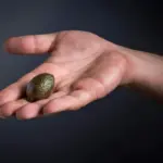 Citruskaviaar: deze 'eetbare' parels knappen in je mond en veranderen je kijk op gezond eten