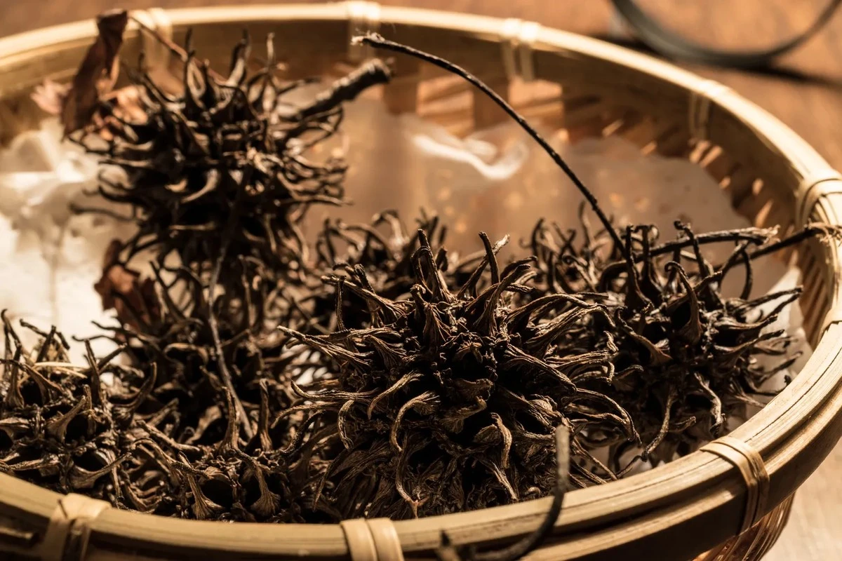Da Hong Pao: 30 keer duurder dan goud, het drankje dat fortuinen kost