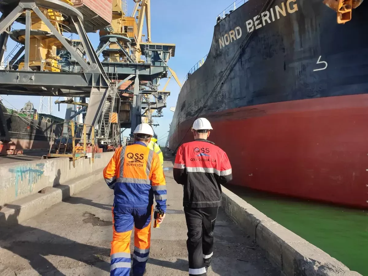 Duitsland verscherpt controles: Kappers en bezorgdiensten nu ook onder de loep - image 1