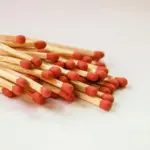 Een simpele lucifer-truc: zo bestrijd je ongedierte bij kamerplanten