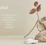 Europa onthult nieuwe betaalmethode: is dit het einde van creditcards?