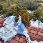 Griežte gresia: sinoptikai atskleidžia, kada sniegas Lietuvoje pagaliau ištirps – ir tai stipriai vėluoja