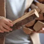 Gudruoliai dabar maldauja kaimynų pagalbos: kodėl tuščios malkinės ir 500 eurų už padėklą?