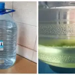 Het geheime wapen tegen verontreinigd water: de zilveren munt mythe ontkracht