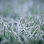 Kada tiksliai tirps sniegas Lietuvoje: sinoptikai paaiškina, kaip atrodys kovas