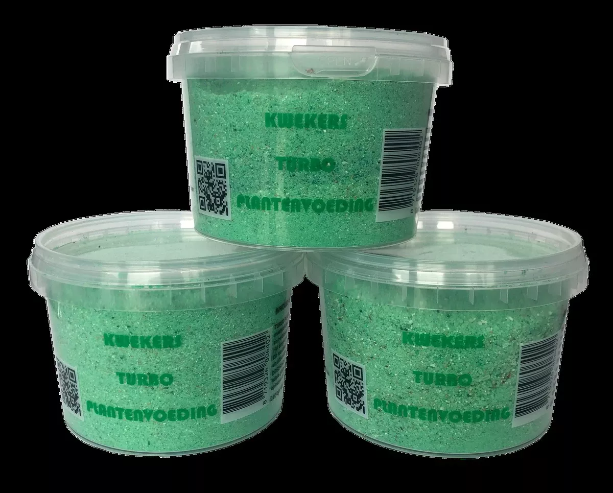 Koffiedik: De onverwachte supervoeding voor uw kamerplanten - image 1