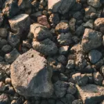 Manė, kad rado paslėptą auksą, bet atrado kažką daug vertingesnio nei bet koks brangakmenis