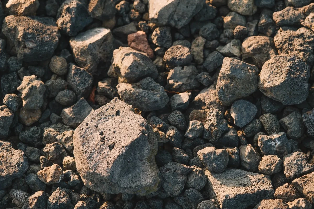 Manė, kad rado paslėptą auksą, bet atrado kažką daug vertingesnio nei bet koks brangakmenis