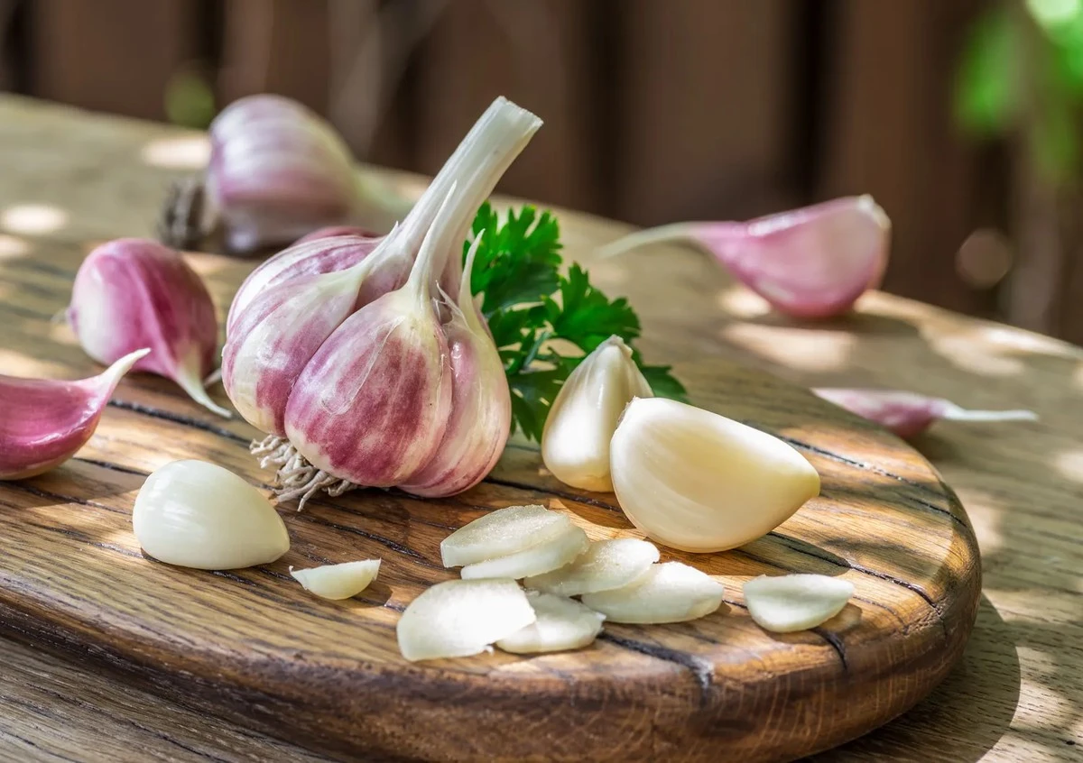 Onverwachte truc met knoflookmest: zo krijg je een superoogst in Nederland