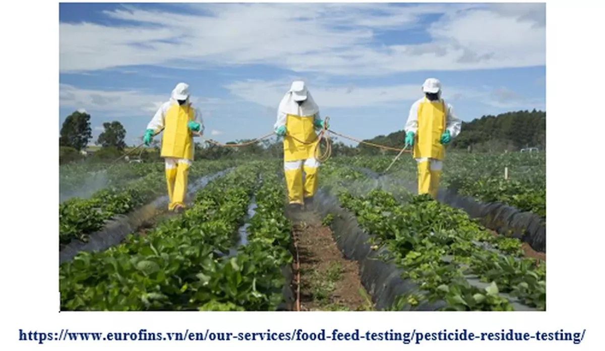 Pesticiden in je winterthee: wat zit er écht in die warme kop? - image 1