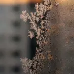 Recordkou van -32,9°C in Nederland: De IJzige Realiteit van de Finse Vriezer die de Geschiedenis Herschreef