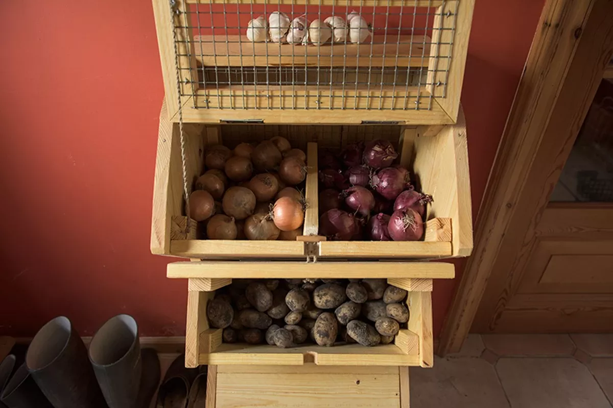 Twee simpele trucs om aardappelen maandenlang vers te houden in je appartement - image 1