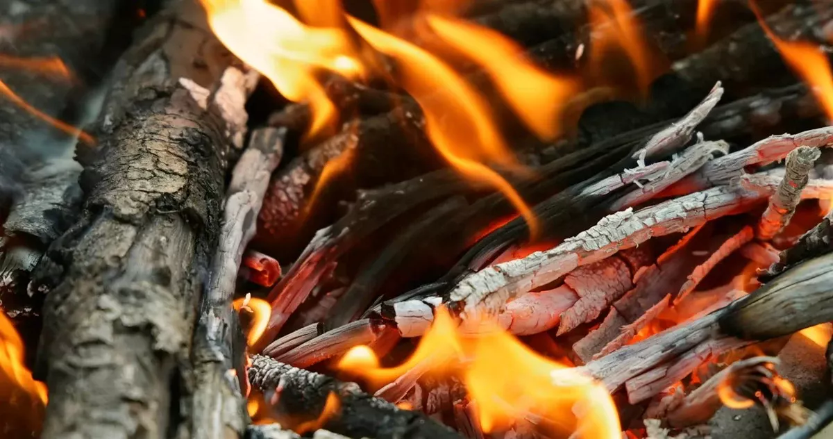 Uos as: gouden bodemverbeteraar of sabotage in je tuin?