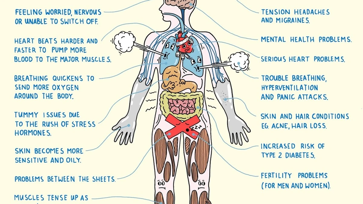 Uw neus kan een verrader zijn: het subtiele stresssignaal dat iedereen mist - image 1