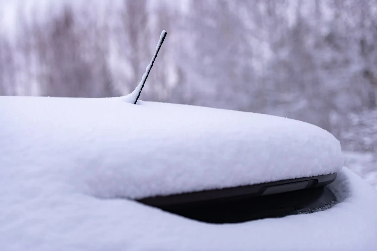 Van simpele staaf tot "haaienvin": hoe autobrilanten onherkenbaar zijn veranderd en wat ze echt doen