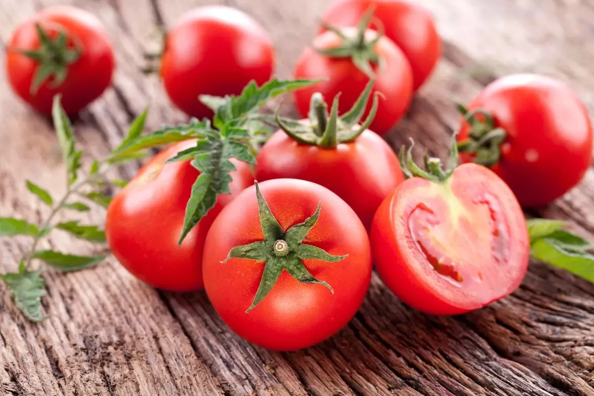 Vermoeide grond na tomaten? Deze gewassen herstellen 'm in één seizoen