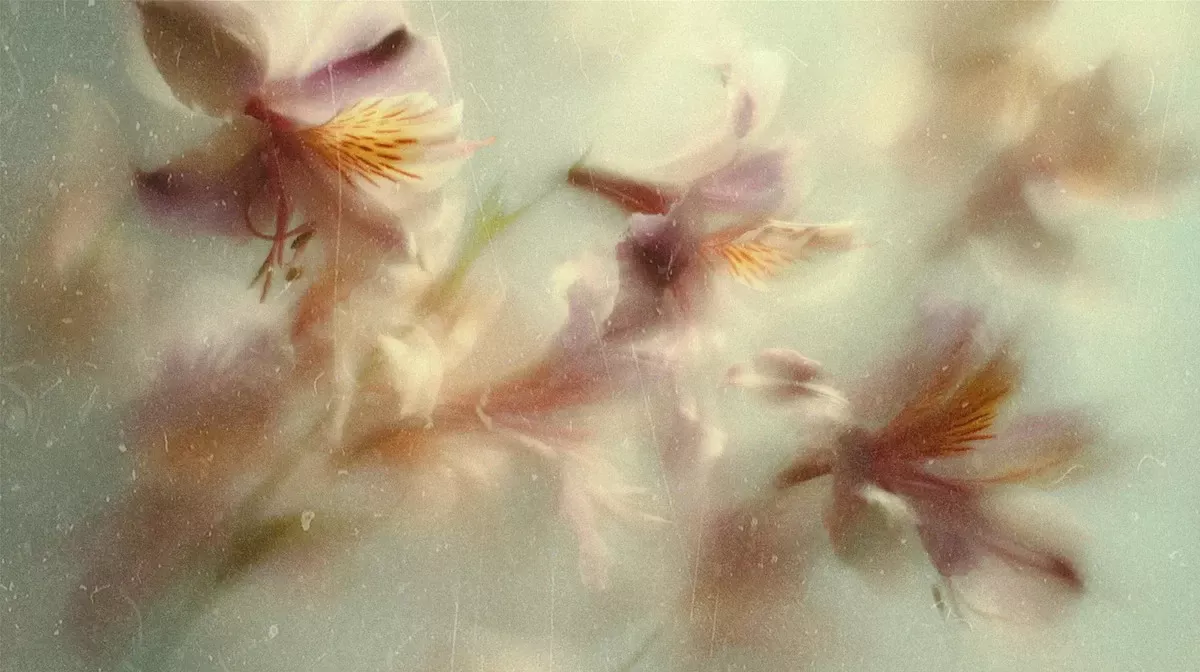 Vroege Lente in Mei? Meteorologen Delen Verontrustende Lange Termijn Weersverwachtingen