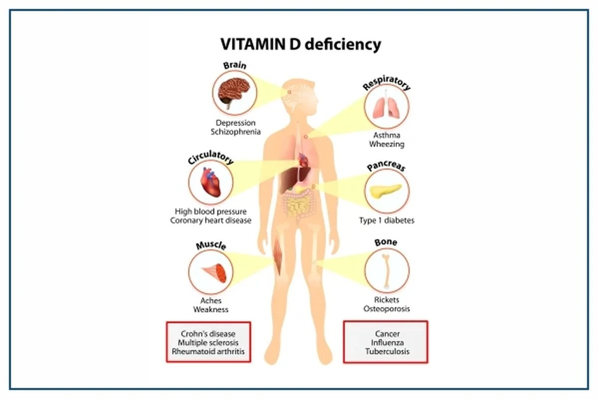 Waarom een vitamine D-tekort uw winter energiereserves leegrooft (en hoe u dit aanpakt) - image 1
