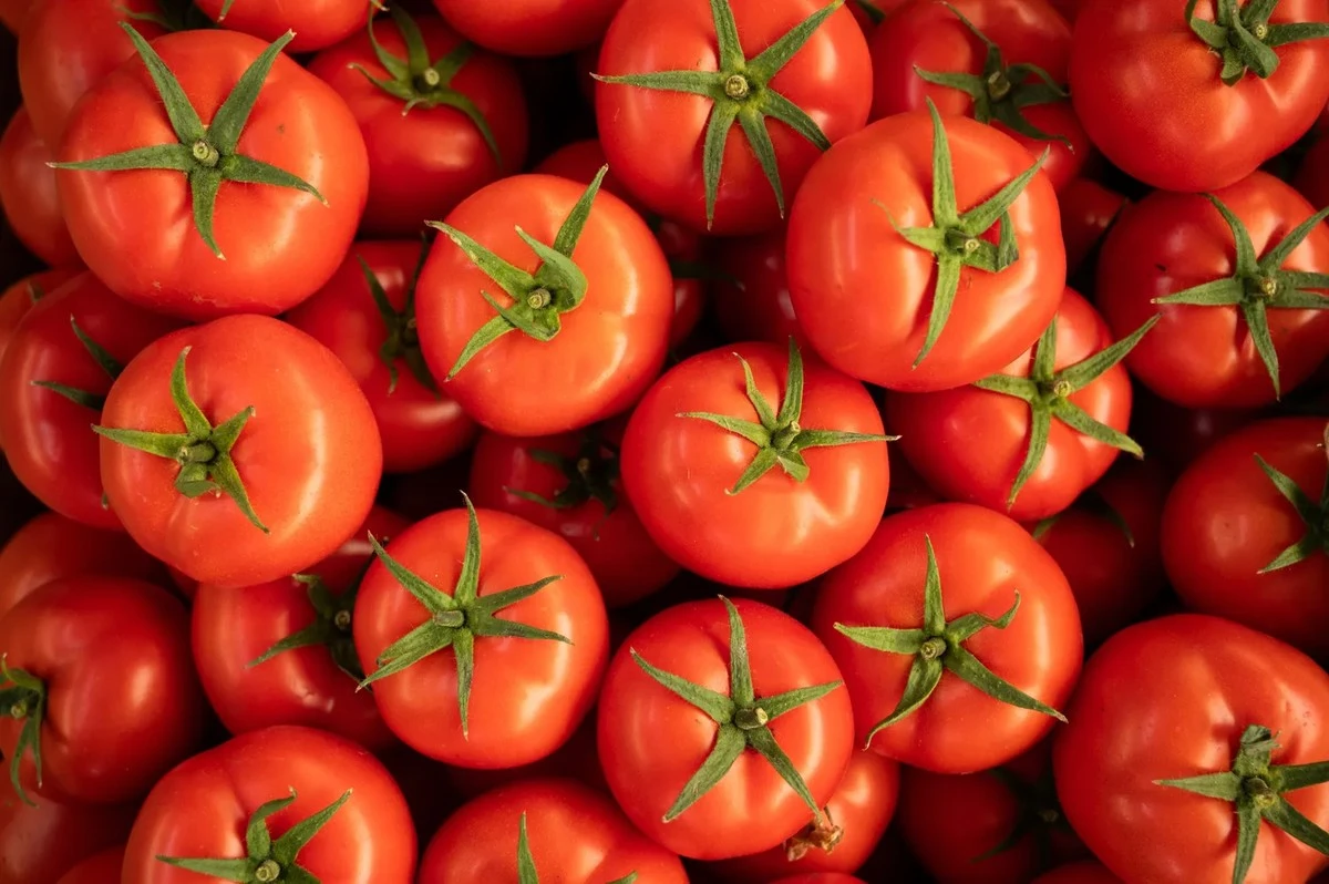 Zaad naast tomaten: Zo kweek je gezondere én smaakvollere oogsten