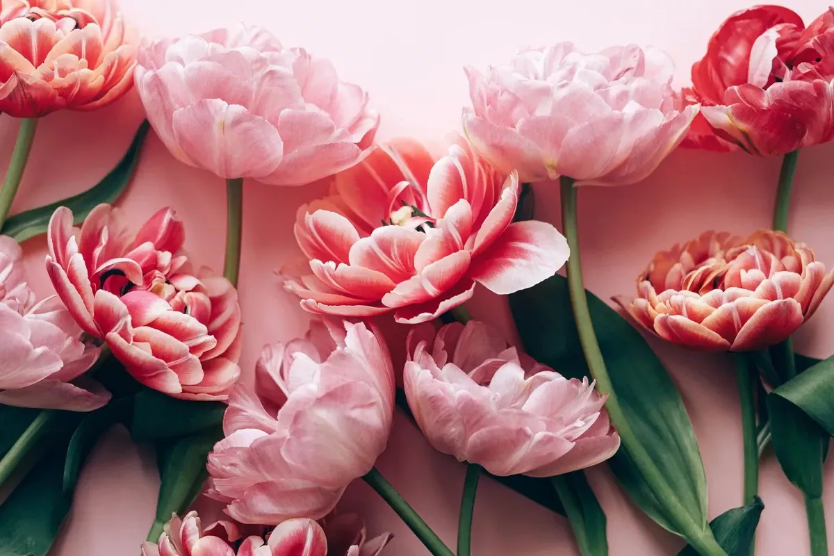 De perfecte bos bloemen voor 8 maart: welke keuze maakt haar écht blij?