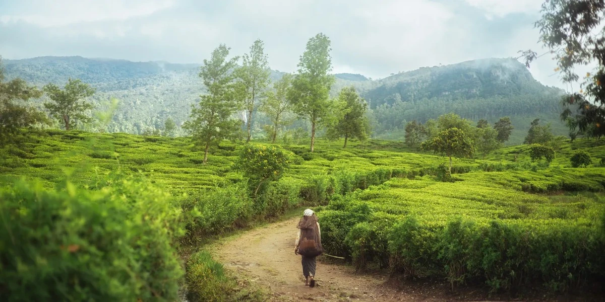 Hanoi leidt solo-reizen in 2026: de beste bestemmingen