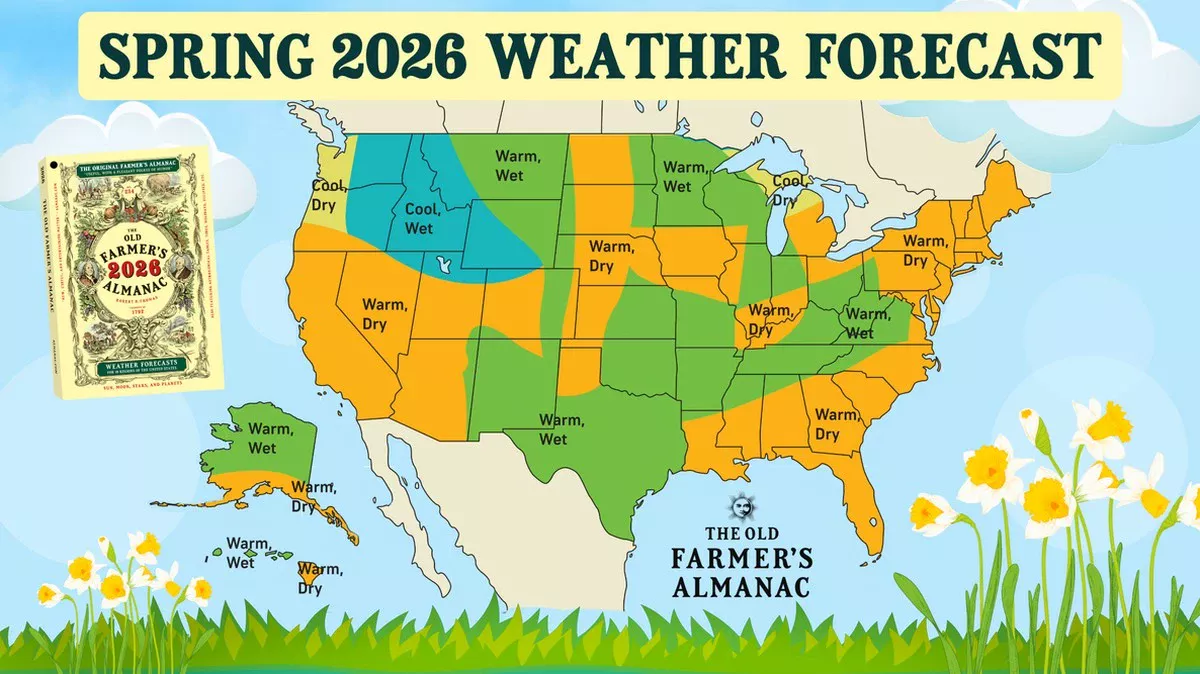 Het einde van Elke: Nederland krijgt straks rustig en warmer lente-weer - image 1