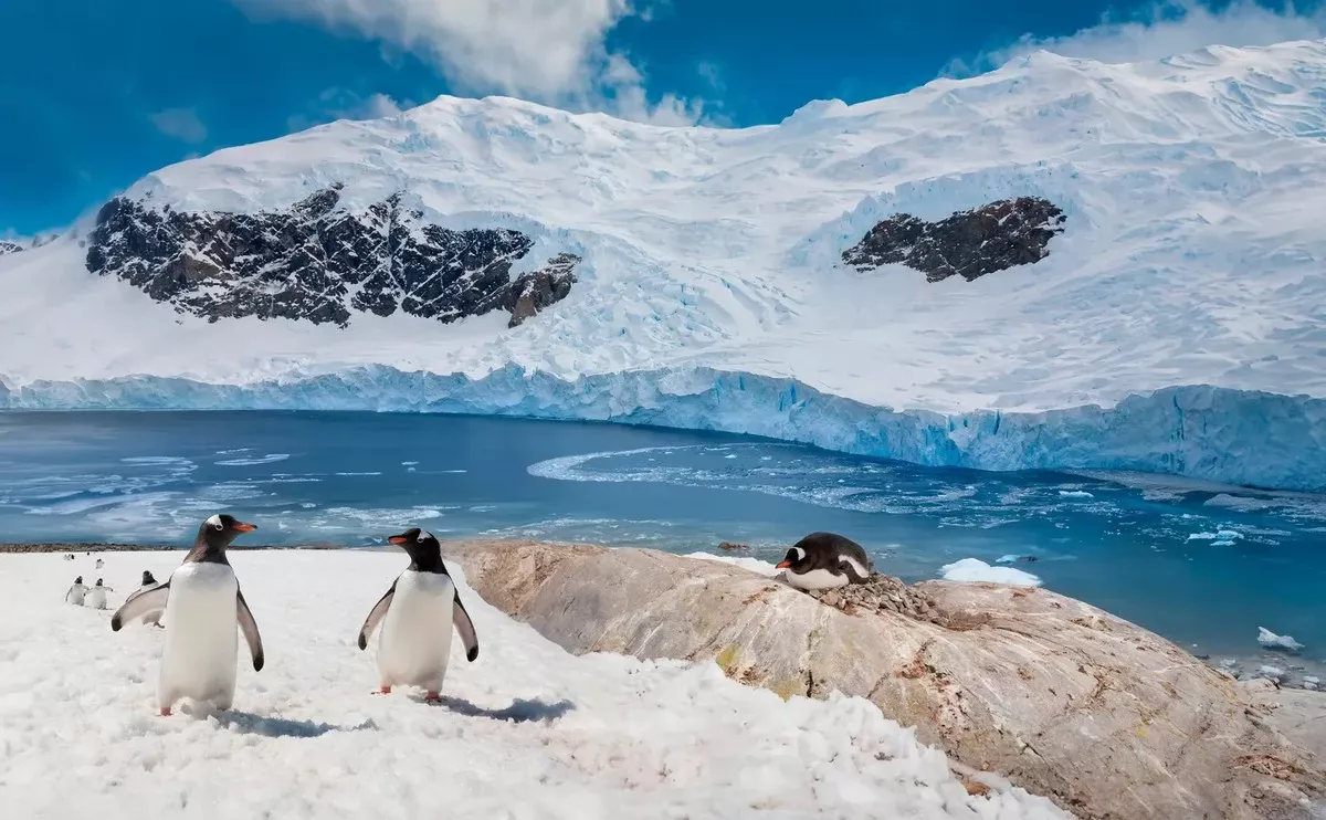 Klimaatverandering onthult minerale rijkdommen in Antarctica: mijnbouwverbod kan vanaf 2048 worden herzien
