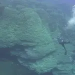 Massief koraal in vulkaankrater: ouder dan onze beschaving?