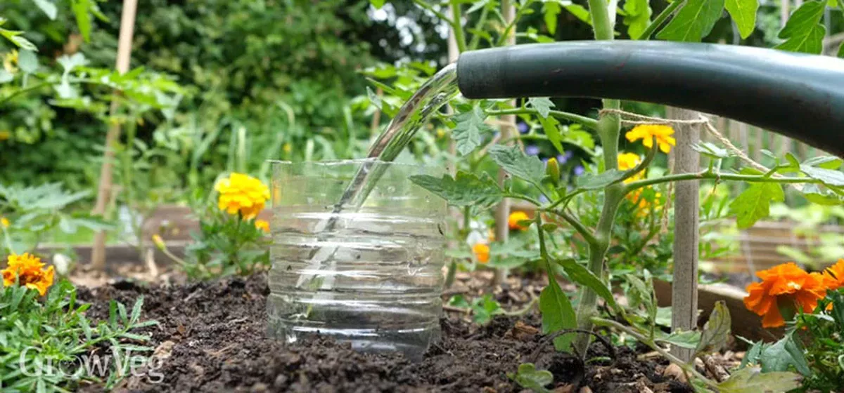 Onverwachte tuinheld: de plasticfles-trick voor perfect bewaterde planten - image 1