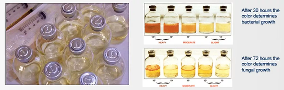 Simpele druppeltest onthult benzinekwaliteit thuis - image 1