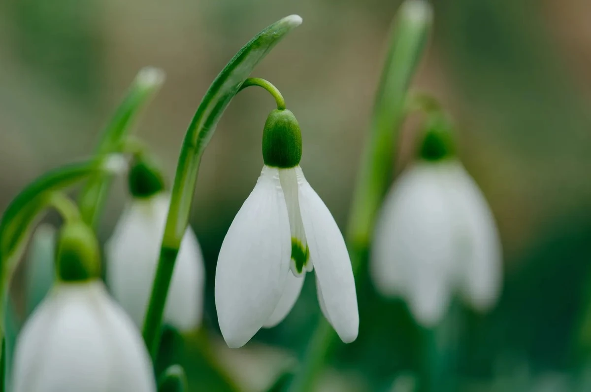Verrassende weersomslag in april? Waarom je je toch beter kunt voorbereiden op koude dagen
