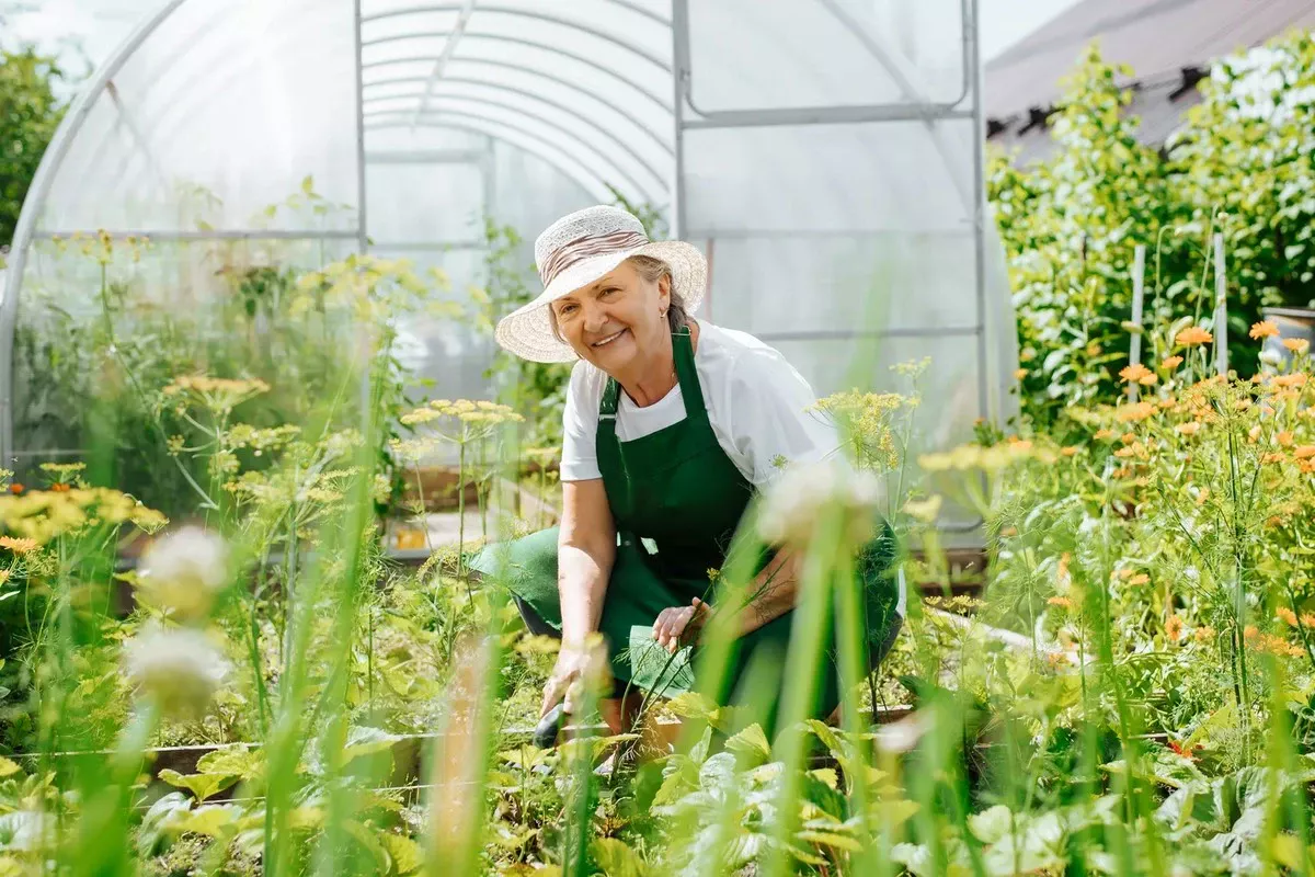 Verrassend veel groente uit de schaduw: 7 soorten die je zelfs zonder zon volop oogsten