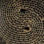 Waarom je dieselmotor stopt met presteren: herken en voorkom DPF-verstopping