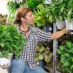 Waarom je planten uit de supermarkt beter kunt laten staan: een verborgen milieuprobleem