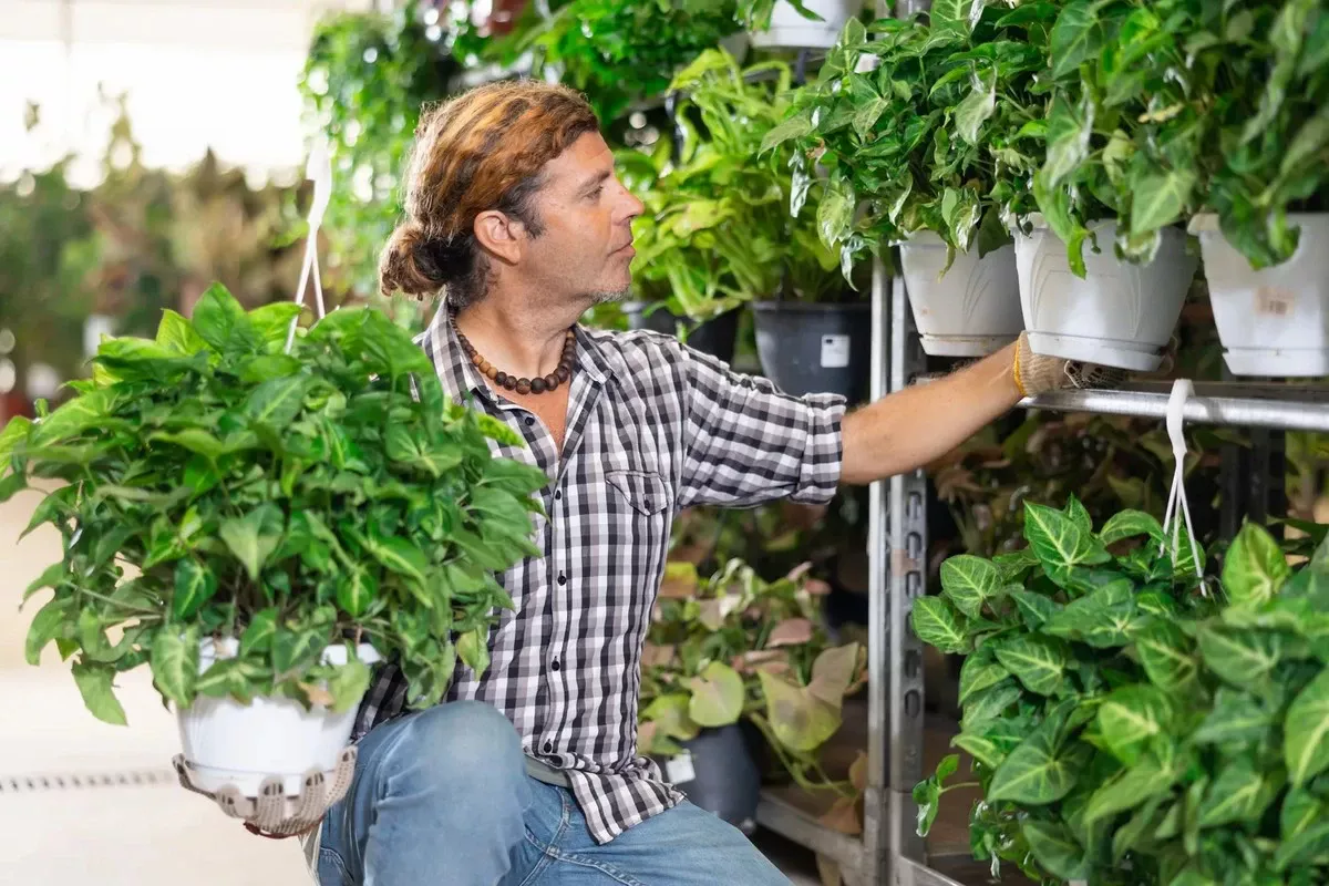 Waarom je planten uit de supermarkt beter kunt laten staan: een verborgen milieuprobleem