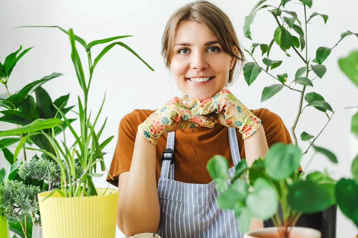 Zo geef je kamerplanten in februari de beste start na de winter